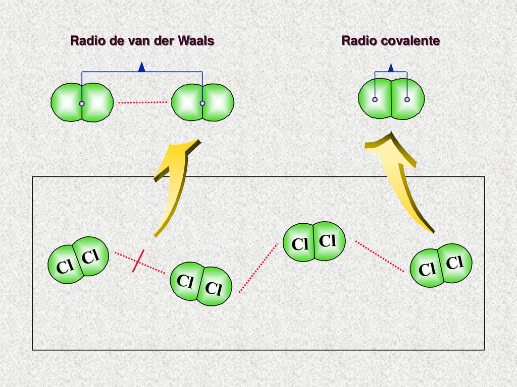 Radio de van der Waals Radio covalente Cl Cl Cl Cl