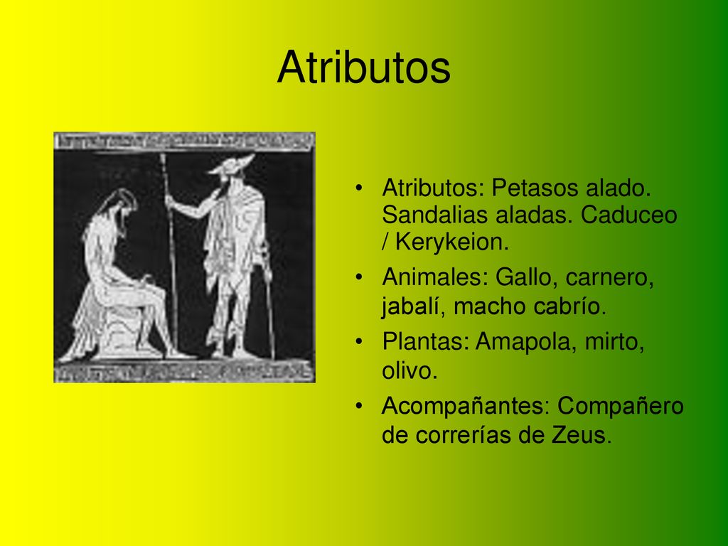 Atributos Atributos: Petasos alado. Sandalias aladas. Caduceo / Kerykeion. Animales: Gallo, carnero, jabalí, macho cabrío.