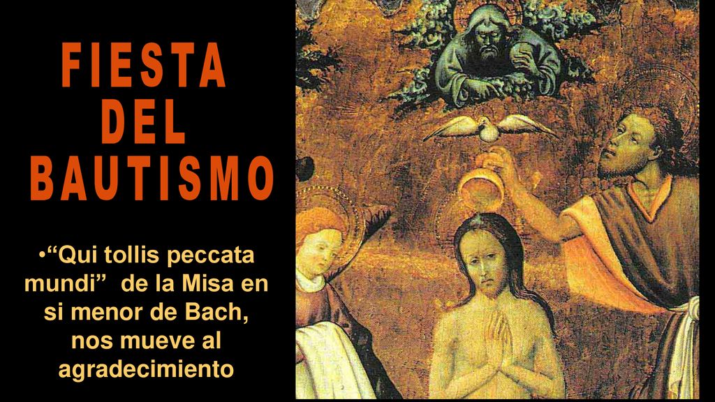 FIESTA DEL BAUTISMO Qui tollis peccata mundi de la Misa en si menor de Bach, nos mueve al agradecimiento.