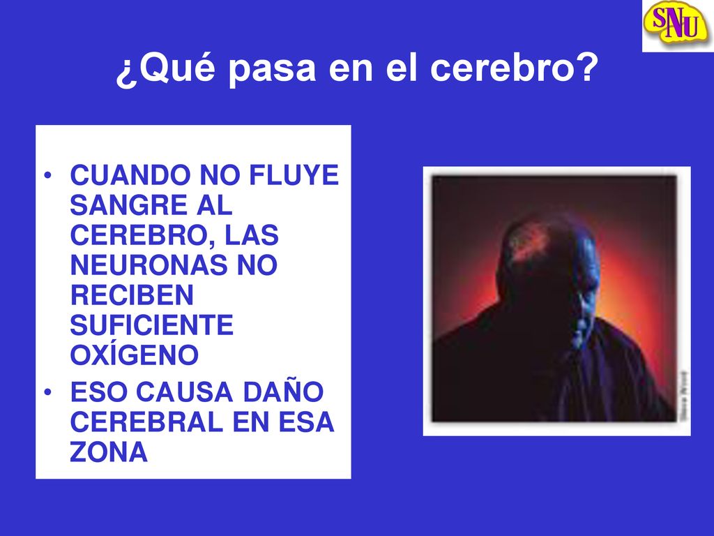 ¿Qué pasa en el cerebro CUANDO NO FLUYE SANGRE AL CEREBRO, LAS NEURONAS NO RECIBEN SUFICIENTE OXÍGENO.