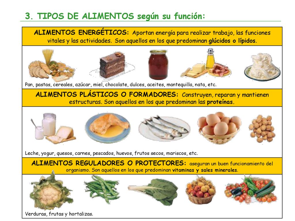 3. TIPOS DE ALIMENTOS según su función: