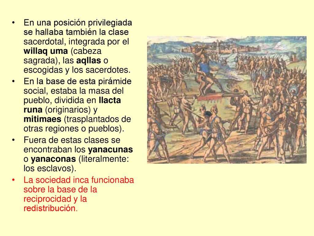 En una posición privilegiada se hallaba también la clase sacerdotal, integrada por el willaq uma (cabeza sagrada), las aqllas o escogidas y los sacerdotes.