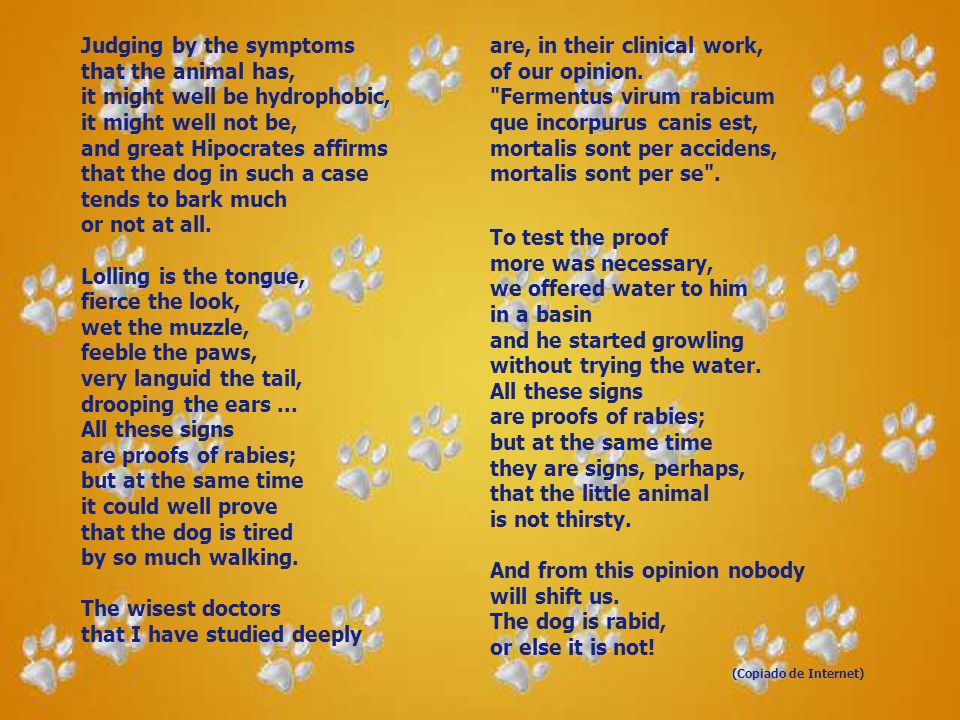 Judging by the symptoms that the animal has, it might well be hydrophobic, it might well not be, and great Hipocrates affirms that the dog in such a case tends to bark much or not at all. Lolling is the tongue, fierce the look, wet the muzzle, feeble the paws, very languid the tail, drooping the ears ... All these signs are proofs of rabies; but at the same time it could well prove that the dog is tired by so much walking. The wisest doctors that I have studied deeply