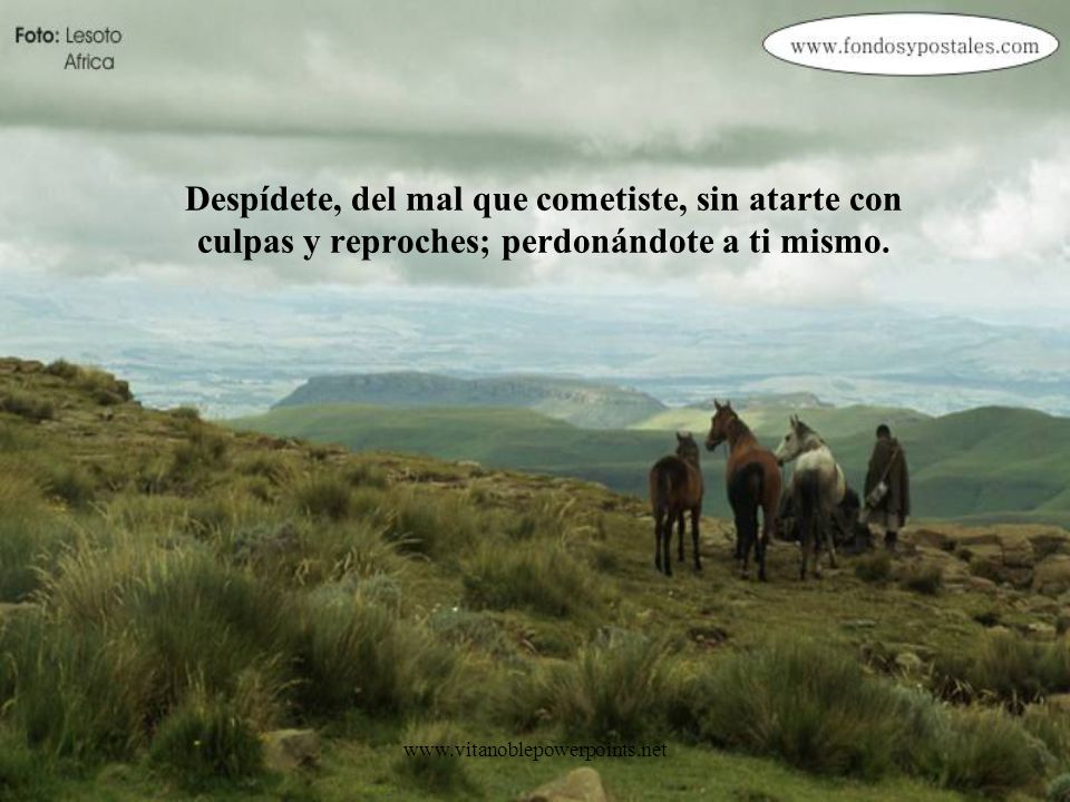Despídete, del mal que cometiste, sin atarte con culpas y reproches; perdonándote a ti mismo.