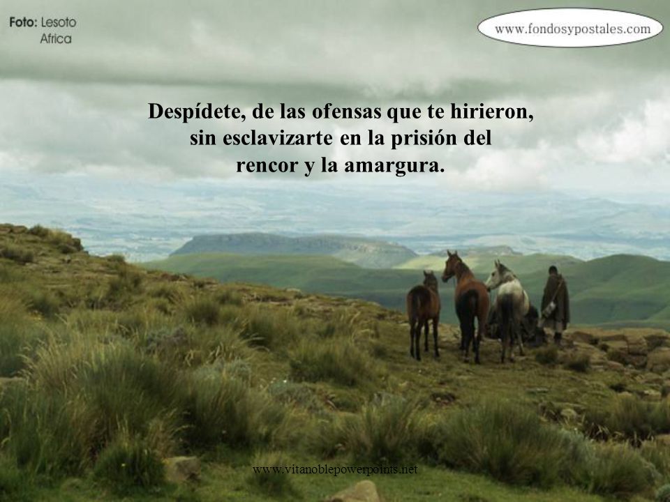 Despídete, de las ofensas que te hirieron, sin esclavizarte en la prisión del rencor y la amargura.