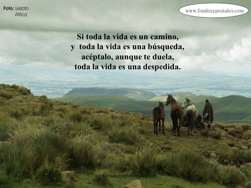 Si toda la vida es un camino, y toda la vida es una búsqueda, acéptalo, aunque te duela, toda la vida es una despedida.