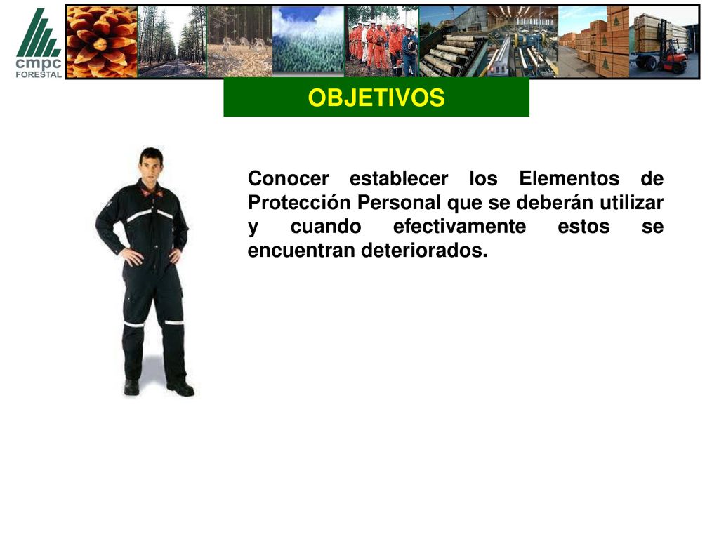 OBJETIVOS Conocer establecer los Elementos de Protección Personal que se deberán utilizar y cuando efectivamente estos se encuentran deteriorados.