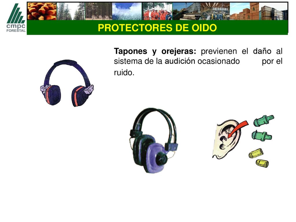 PROTECTORES DE OIDO Tapones y orejeras: previenen el daño al sistema de la audición ocasionado por el ruido.