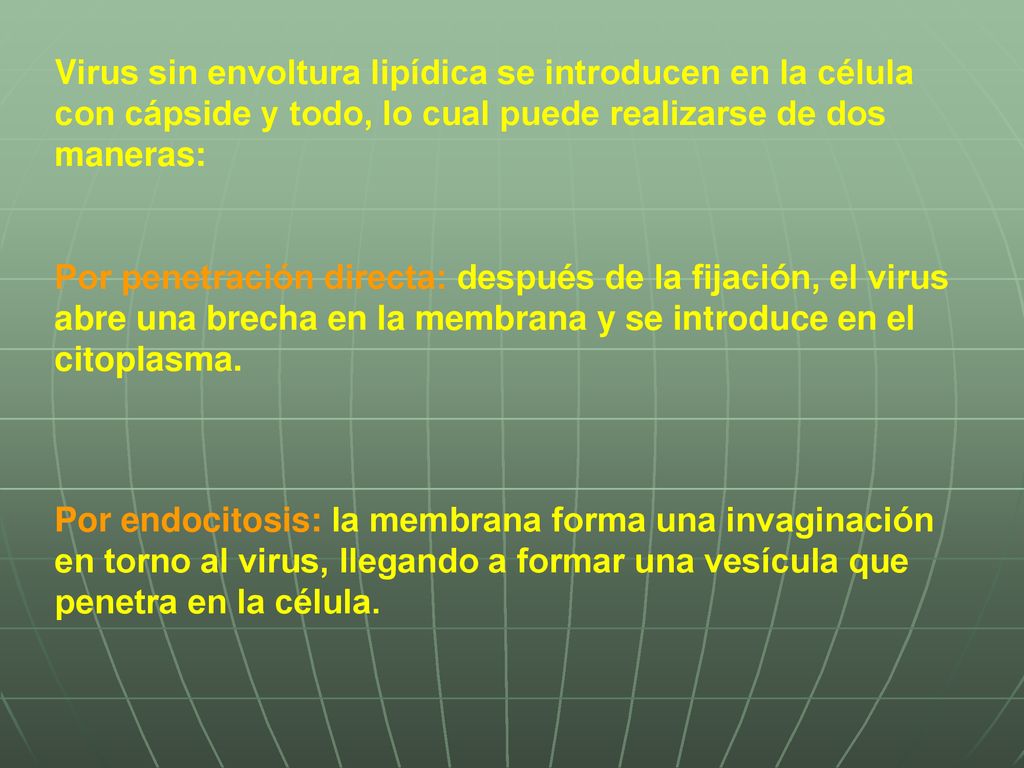 Virus sin envoltura lipídica se introducen en la célula con cápside y todo, lo cual puede realizarse de dos maneras: