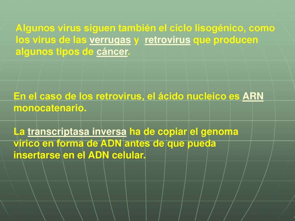 Algunos virus siguen también el ciclo lisogénico, como los virus de las verrugas y retrovirus que producen algunos tipos de cáncer.