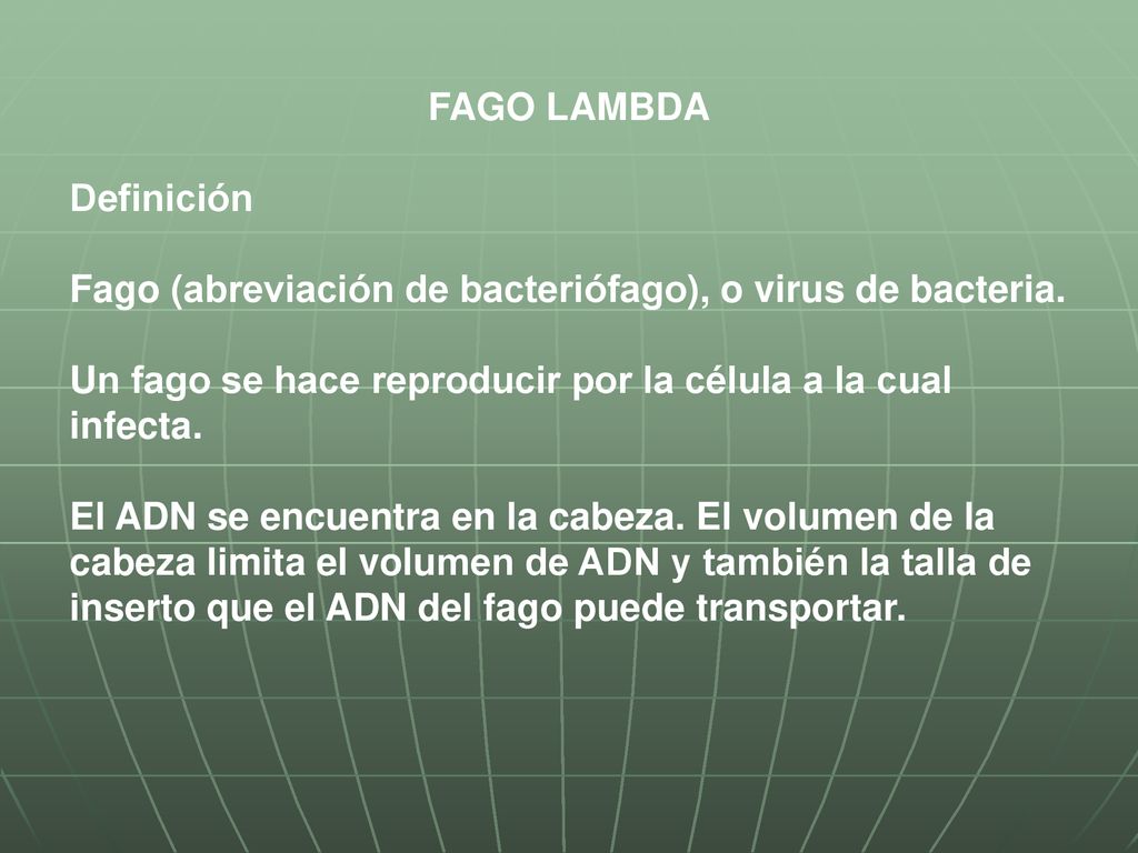 Catedra Biologia Celular Y Molecular Tema 6 Ppt Descargar