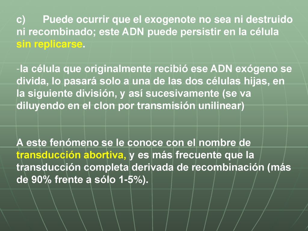 c) Puede ocurrir que el exogenote no sea ni destruido ni recombinado; este ADN puede persistir en la célula sin replicarse.