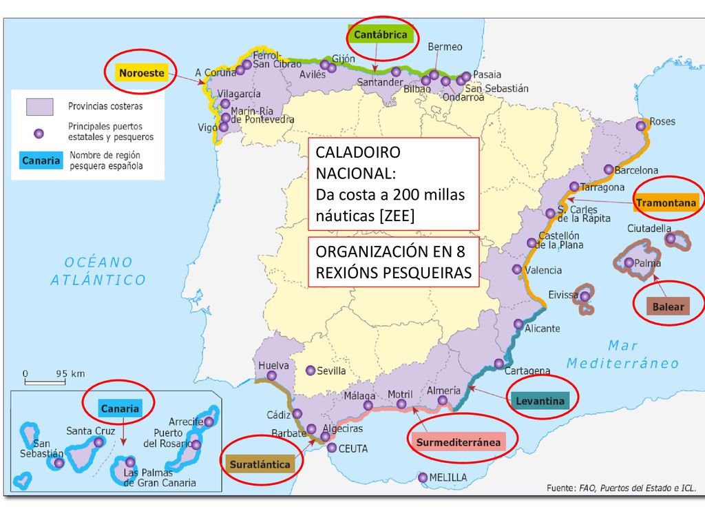 CALADOIRO NACIONAL: Da costa a 200 millas náuticas [ZEE] ORGANIZACIÓN EN 8 REXIÓNS PESQUEIRAS