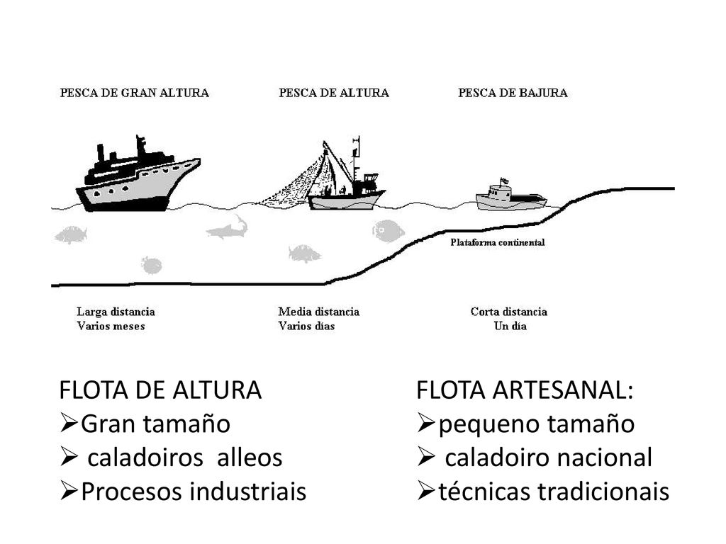 ñ FLOTA DE ALTURA Gran tamaño caladoiros alleos Procesos industriais