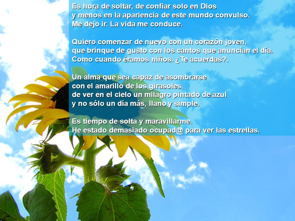 Es hora de soltar, de confiar solo en Dios