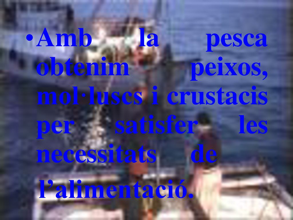 Amb la pesca obtenim peixos, mol·luscs i crustacis per satisfer les necessitats de