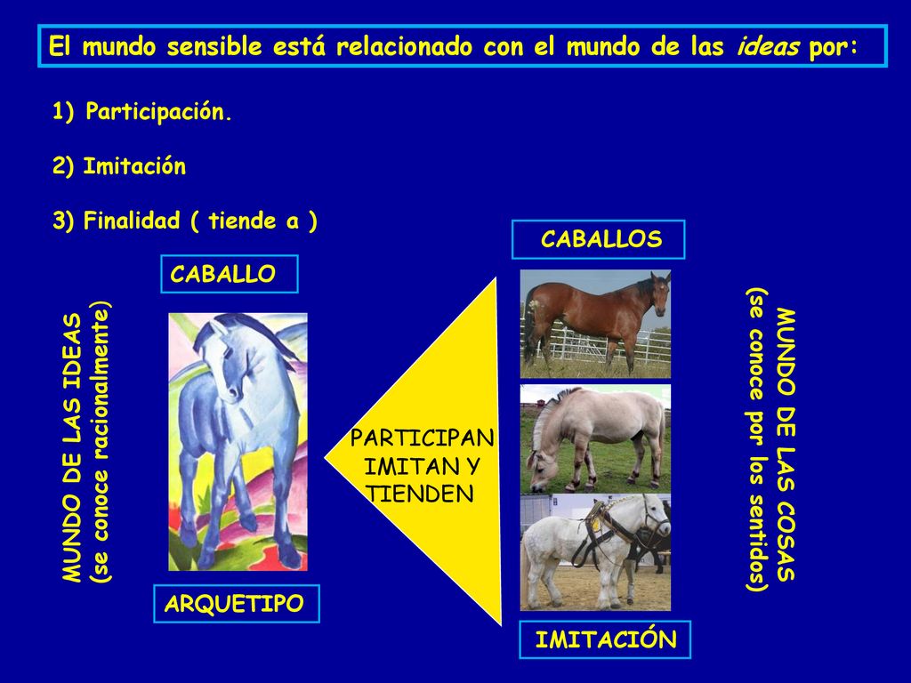 El mundo sensible está relacionado con el mundo de las ideas por: