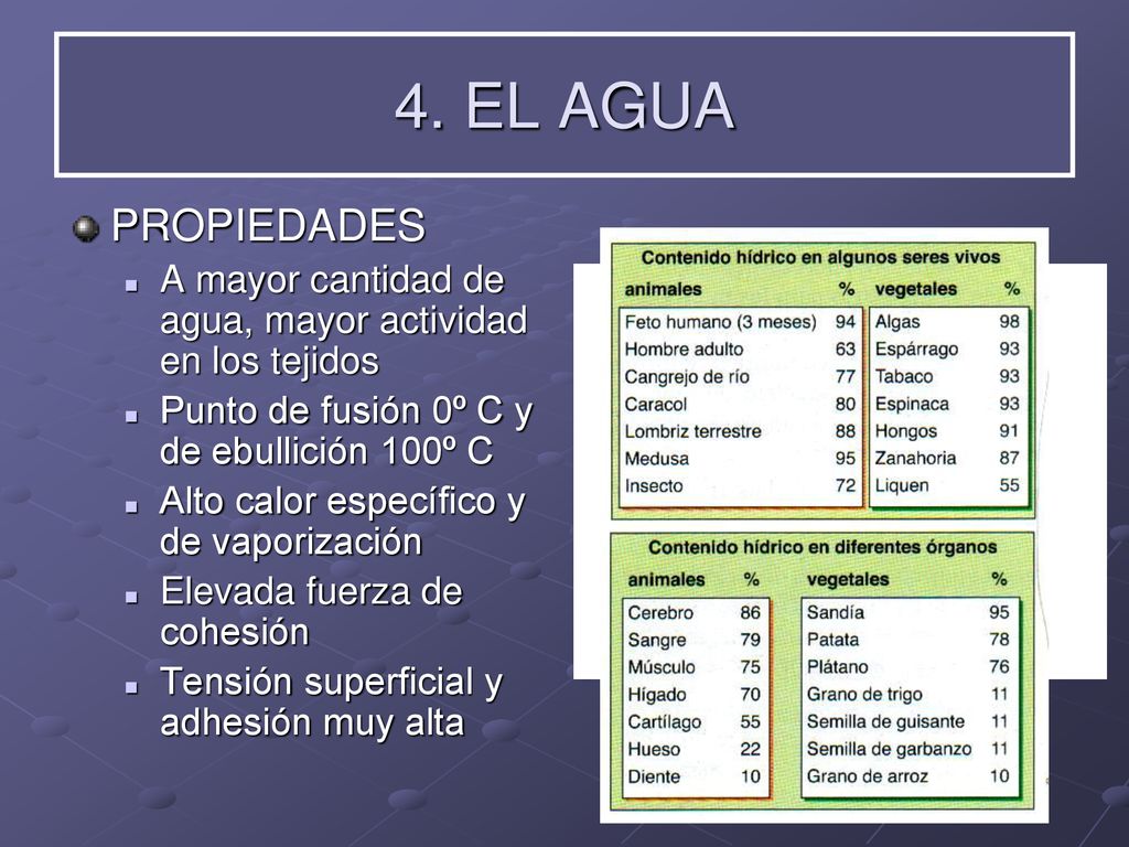 4. EL AGUA PROPIEDADES. A mayor cantidad de agua, mayor actividad en los tejidos. Punto de fusión 0º C y de ebullición 100º C.