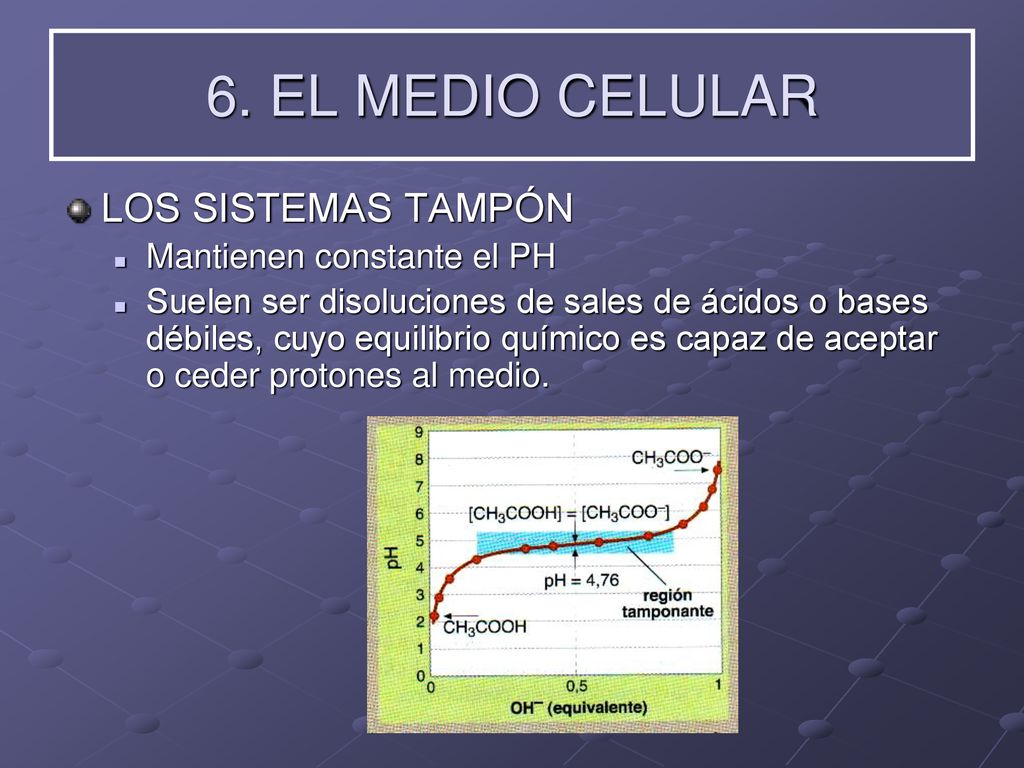 6. EL MEDIO CELULAR LOS SISTEMAS TAMPÓN Mantienen constante el PH