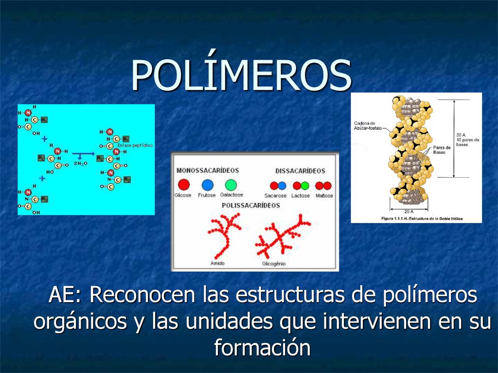 POLÍMEROS AE: Reconocen las estructuras de polímeros orgánicos y las unidades que intervienen en su formación.