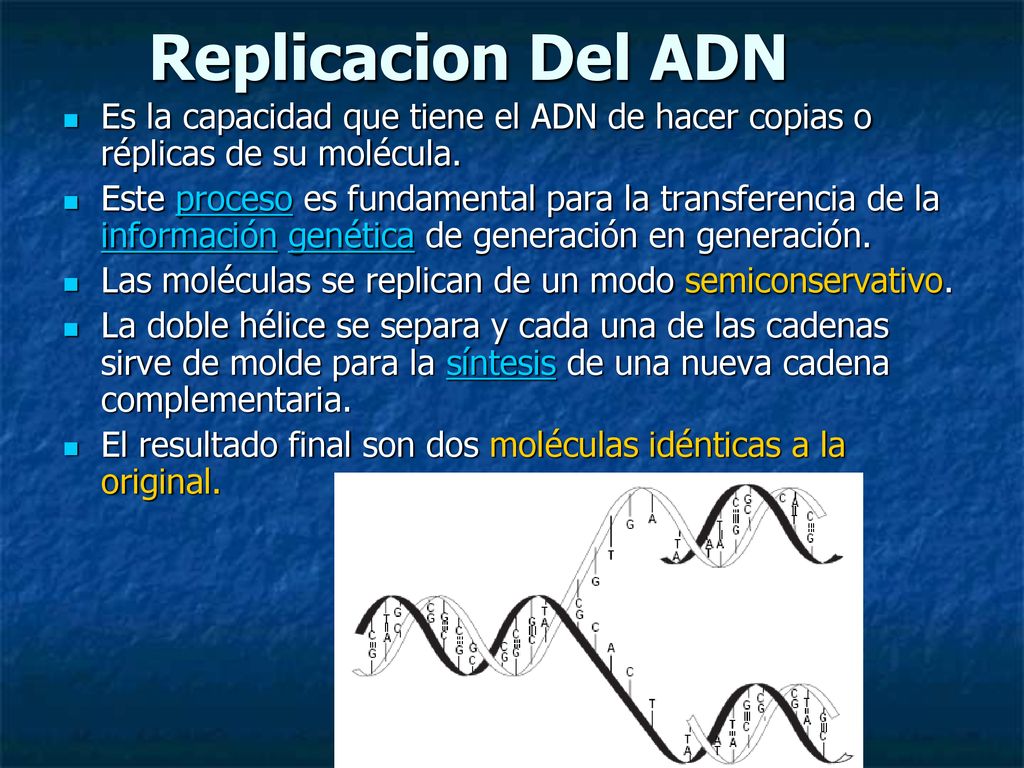 Replicacion Del ADN Es la capacidad que tiene el ADN de hacer copias o réplicas de su molécula.