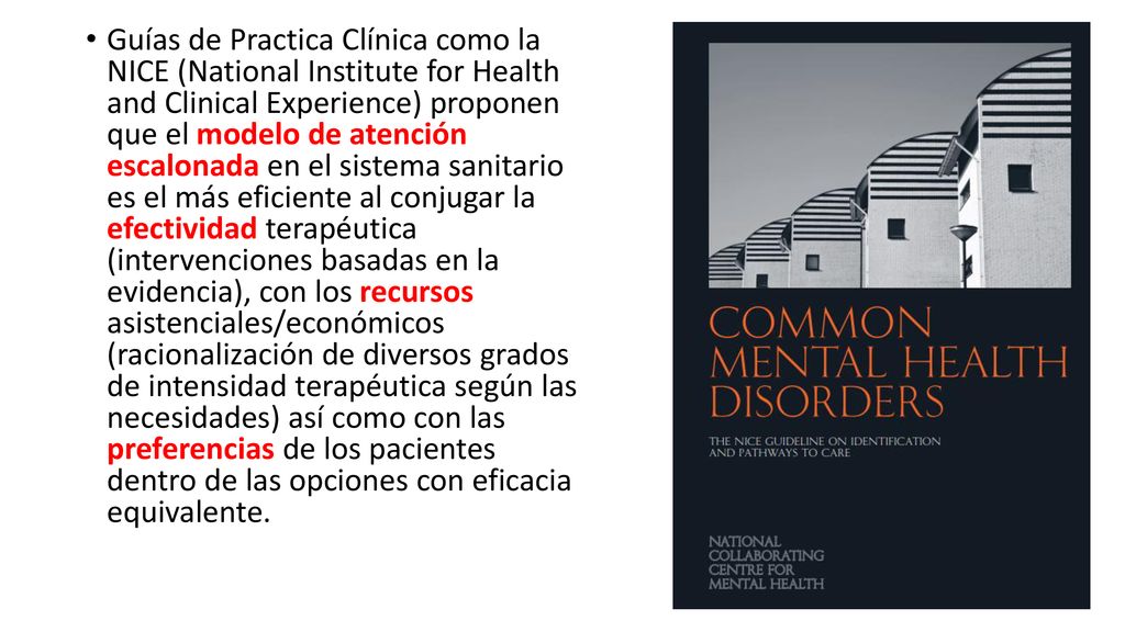 Guías de Practica Clínica como la NICE (National Institute for Health and Clinical Experience) proponen que el modelo de atención escalonada en el sistema sanitario es el más eficiente al conjugar la efectividad terapéutica (intervenciones basadas en la evidencia), con los recursos asistenciales/económicos (racionalización de diversos grados de intensidad terapéutica según las necesidades) así como con las preferencias de los pacientes dentro de las opciones con eficacia equivalente.