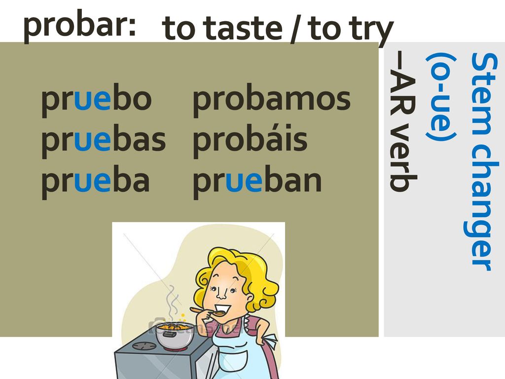 probar: to taste / to try. pruebo probamos. pruebas probáis. prueba prueban. Stem changer. (o-ue)