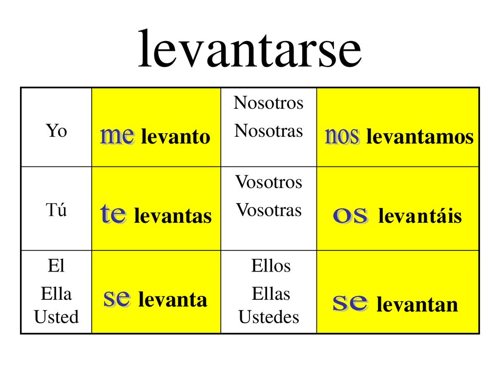 levantarse me nos te os se se levanto levantamos levantas levantáis