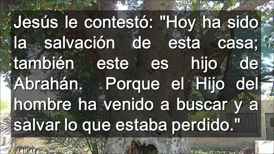 Jesús le contestó: Hoy ha sido la salvación de esta casa; también este es hijo de Abrahán.