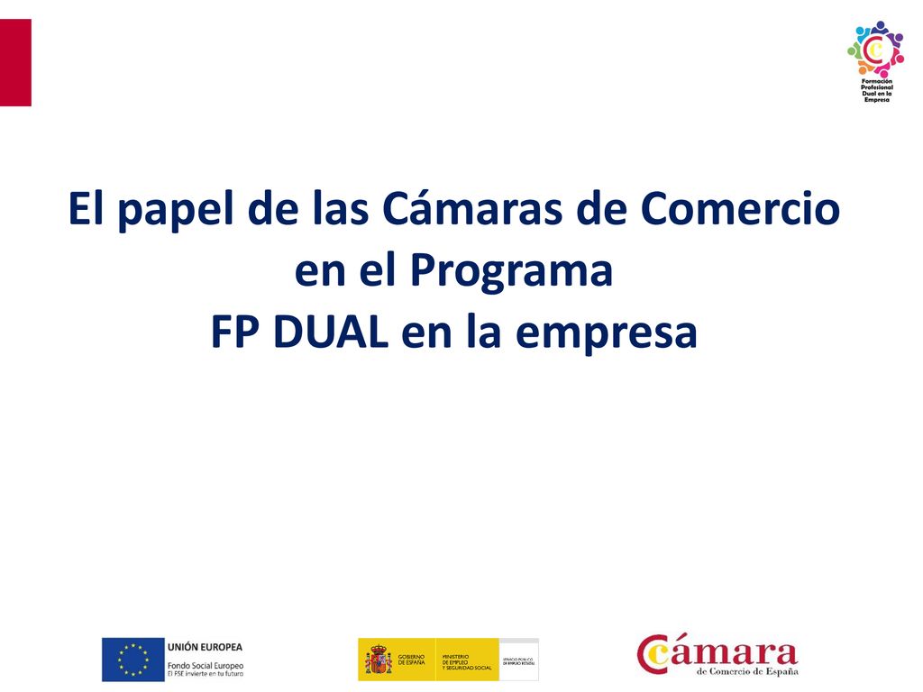 El papel de las Cámaras de Comercio en el Programa
