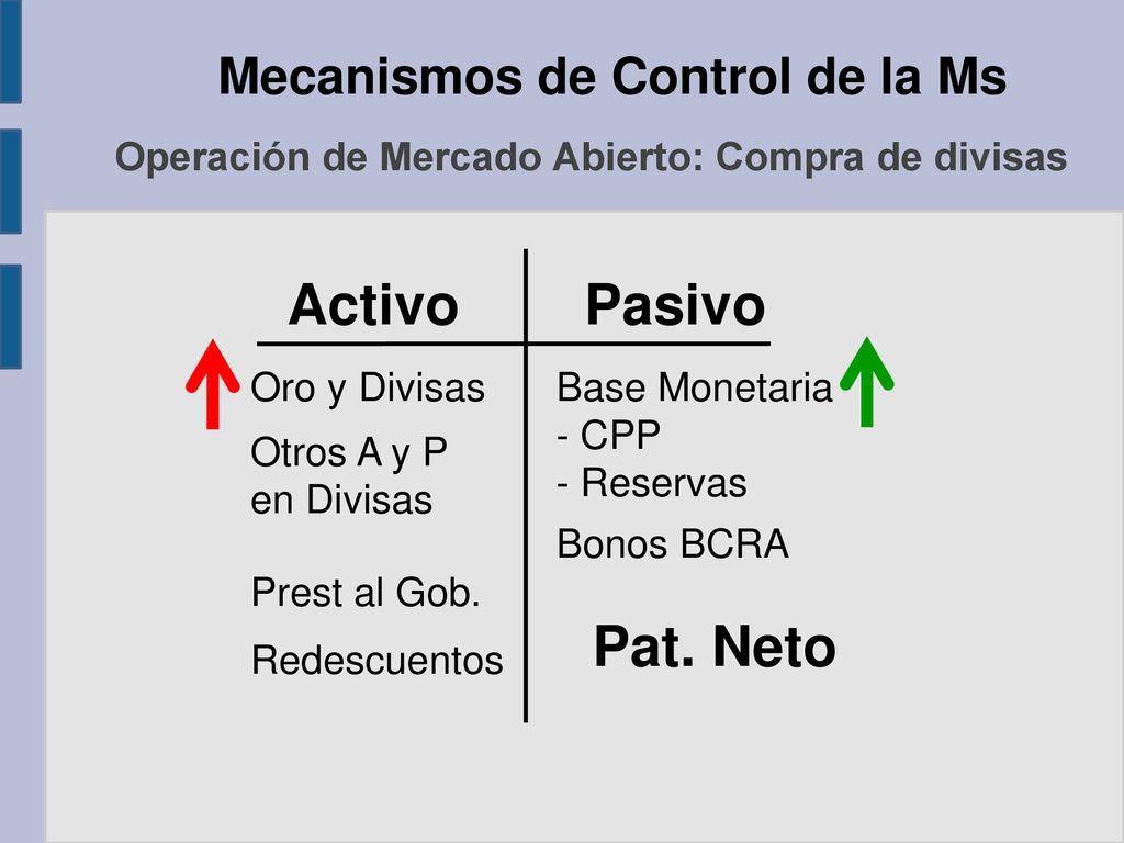 Activo Pasivo Pat. Neto Mecanismos de Control de la Ms