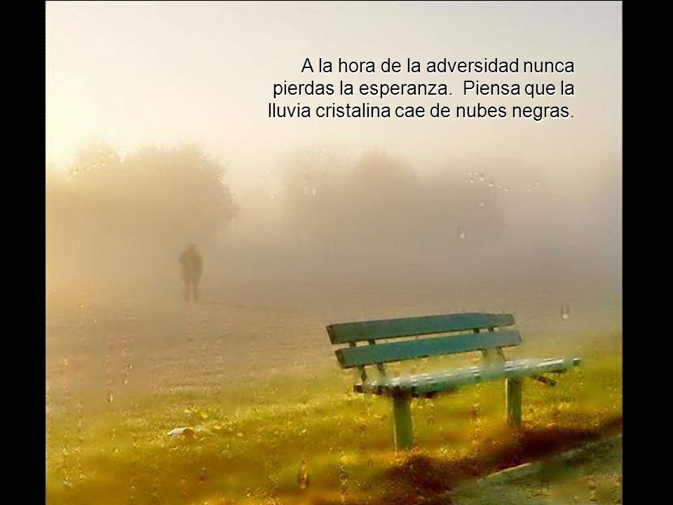 A la hora de la adversidad nunca pierdas la esperanza