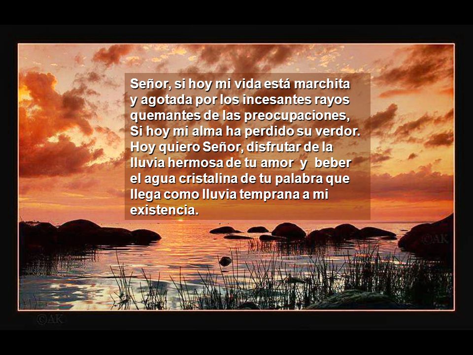 Señor, si hoy mi vida está marchita y agotada por los incesantes rayos quemantes de las preocupaciones, Si hoy mi alma ha perdido su verdor. Hoy quiero Señor, disfrutar de la lluvia hermosa de tu amor y beber el agua cristalina de tu palabra que llega como lluvia temprana a mi existencia.