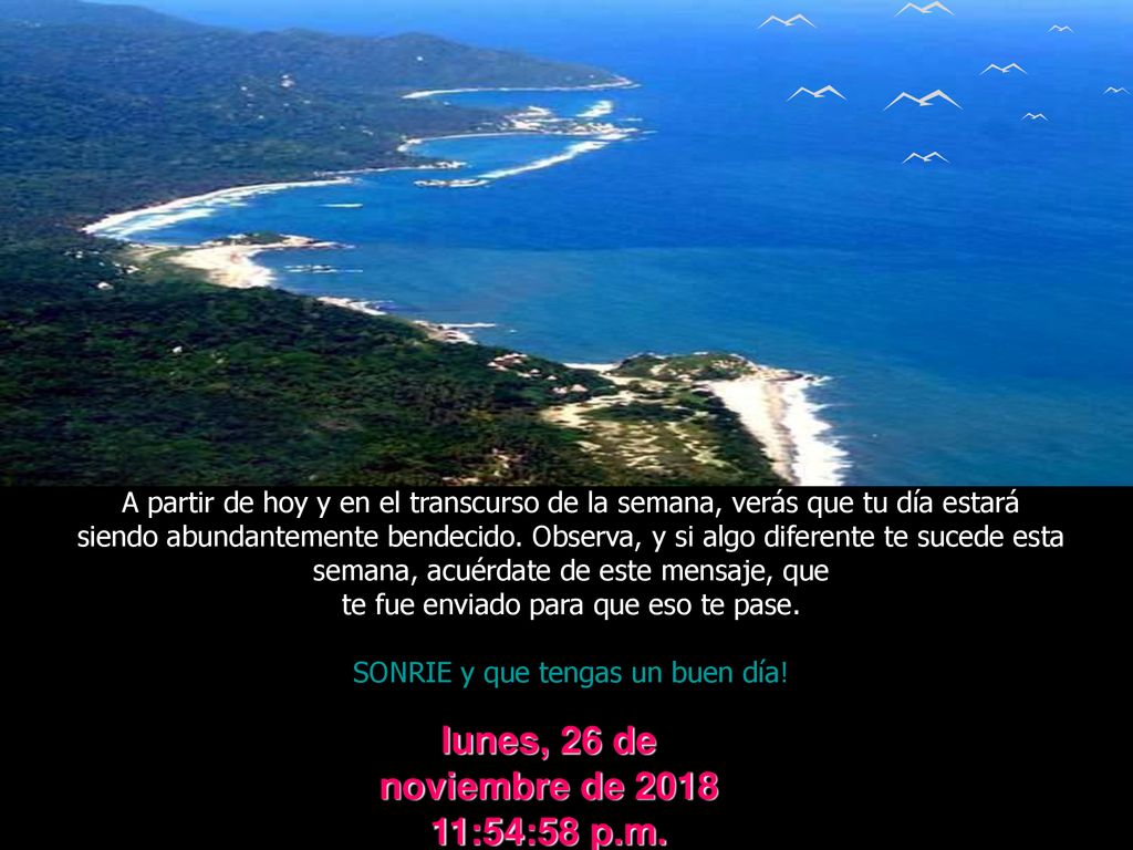 lunes, 26 de noviembre de 2018lunes, 26 de noviembre de 2018