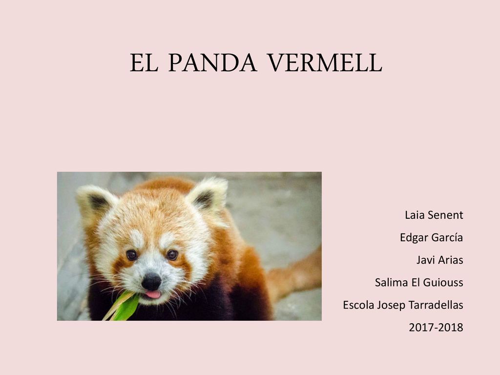 EL PANDA VERMELL Laia Senent Edgar García Javi Arias Salima El Guiouss