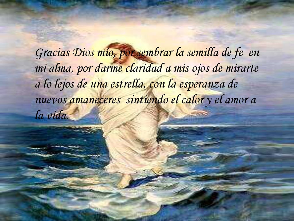 Gracias Dios mío, por sembrar la semilla de fe en mi alma, por darme claridad a mis ojos de mirarte a lo lejos de una estrella, con la esperanza de nuevos amaneceres sintiendo el calor y el amor a la vida.