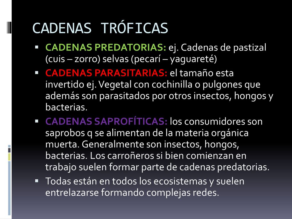 CADENAS TRÓFICAS CADENAS PREDATORIAS: ej. Cadenas de pastizal (cuis – zorro) selvas (pecarí – yaguareté)
