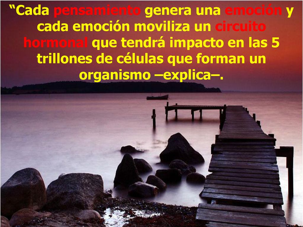 Cada pensamiento genera una emoción y cada emoción moviliza un circuito hormonal que tendrá impacto en las 5 trillones de células que forman un organismo –explica–.