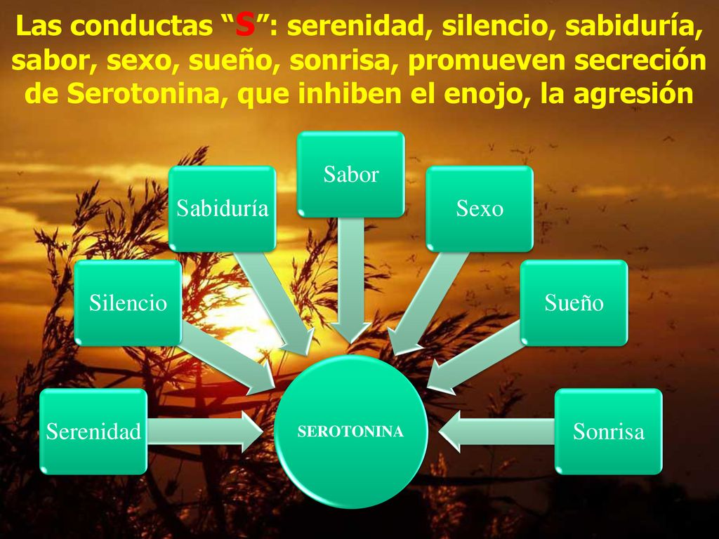 Las conductas S : serenidad, silencio, sabiduría, sabor, sexo, sueño, sonrisa, promueven secreción de Serotonina, que inhiben el enojo, la agresión