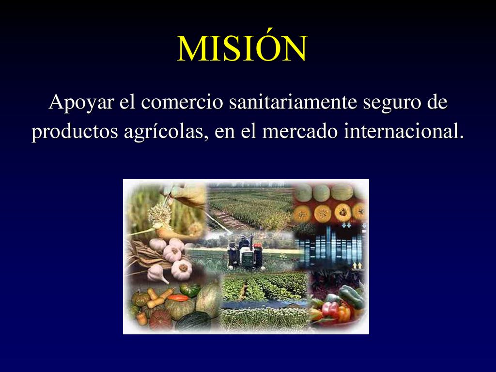 MISIÓN Apoyar el comercio sanitariamente seguro de productos agrícolas, en el mercado internacional.