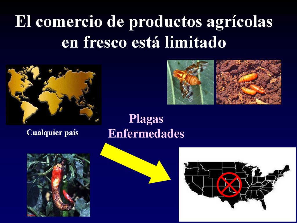 El comercio de productos agrícolas en fresco está limitado