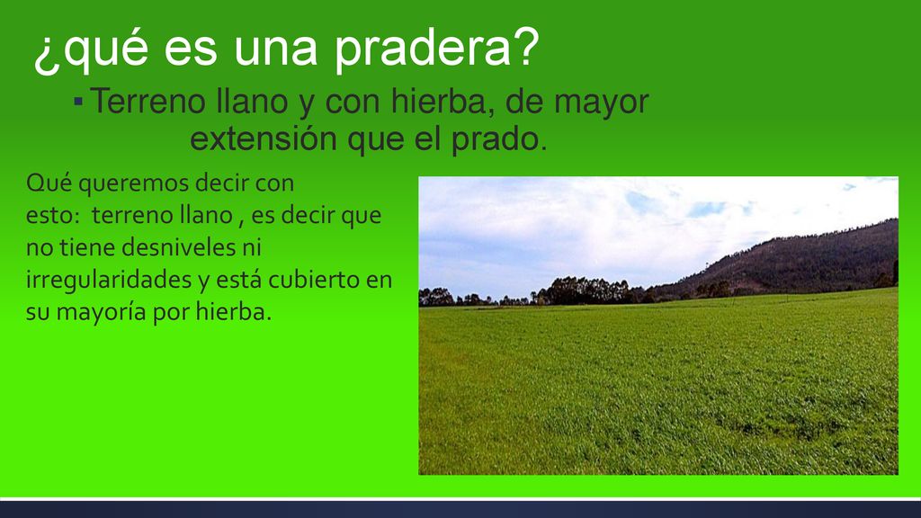 Terreno llano y con hierba, de mayor extensión que el prado.