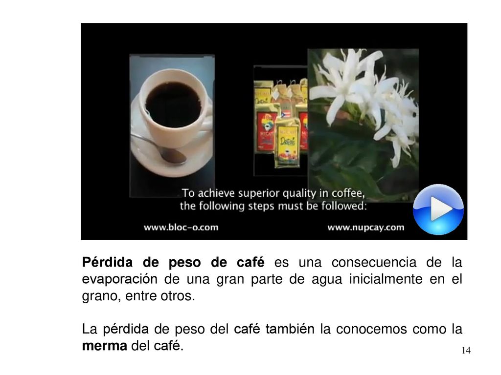 Pérdida de peso de café es una consecuencia de la evaporación de una gran parte de agua inicialmente en el grano, entre otros.