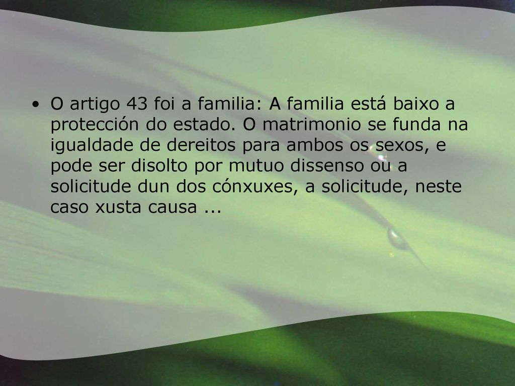 O artigo 43 foi a familia: A familia está baixo a protección do estado