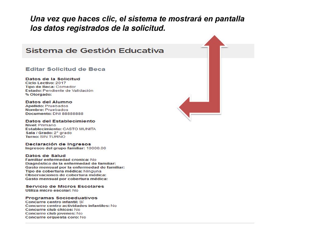 Una vez que haces clic, el sistema te mostrará en pantalla los datos registrados de la solicitud.