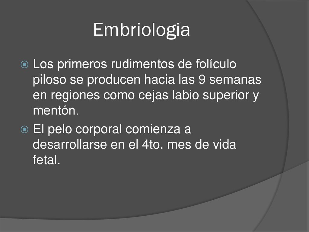 Embriologia Los primeros rudimentos de folículo piloso se producen hacia las 9 semanas en regiones como cejas labio superior y mentón.