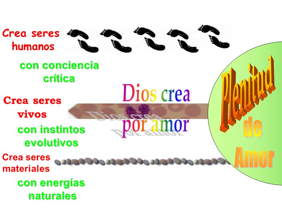 Dios crea por amor de Amor Plenitud Crea seres humanos con conciencia