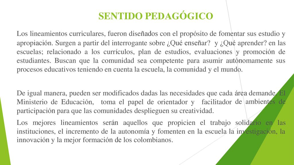 SENTIDO PEDAGÓGICO Los lineamientos curriculares, fueron diseñados con el propósito de fomentar sus estudio y.