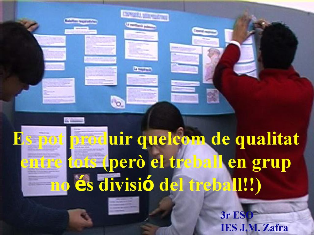 Es pot produir quelcom de qualitat entre tots (però el treball en grup no és divisió del treball!!)