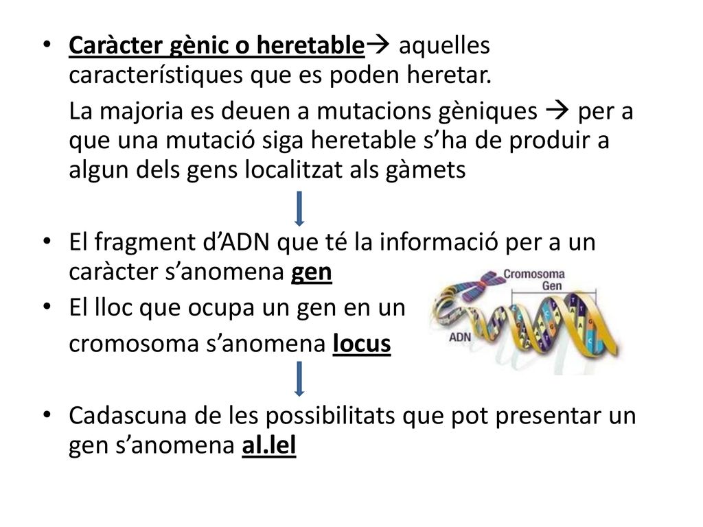 Caràcter gènic o heretable aquelles característiques que es poden heretar.